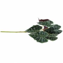 Artikel Alocasia pil bladgrön, violett konstväxt H48cm