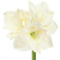 Artikel Amaryllis julblommor konstgjorda L55cm vit 2st