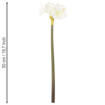 Artikel Konstgjord amaryllisblomma, vit, med stjälk, advent och jul, 50 cm