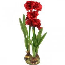 Konstgjord amaryllisröd 3 sidenblommor på mossakulor H64cm