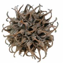 Artikel Sweetgum kottar naturtvättad vit 250g