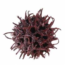 Artikel Sweetgum-strutar röda frostade 250g