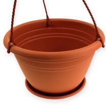 Artikel Hängkorg Galicia Ø30cm terrakotta