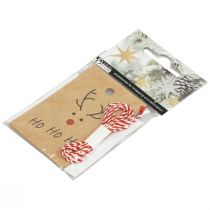 Artikel Julhänge för pyssel renar 5,5x8,5cm 4st