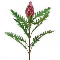 Kronärtskocka Kronärtskocka Rosa Konstgjorda växter Deco Höst H68cm