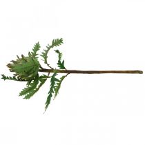 Artikel Kronärtskocka Kronärtskocka Grön Deco Höst Ø7,5cm H43cm