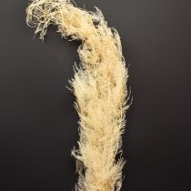 Artikel Sparris torkade gräs prydnadssparris aprikos 90cm 5 st