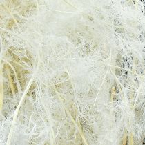 Artikel Sparris Torkade Gräs Prydnadssparriskräm 90cm 5 st