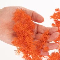 Artikel Torkade sparrisblommor gren prydnadsfärgad sparris 65 cm 80 g