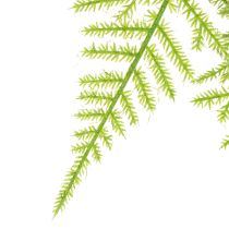 Artikel Konstgjord sparris som hängande växt för lättskött heminredning, 75 cm