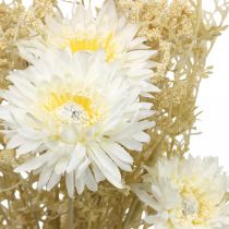 Artikel Konstgjord bukett av asters och baby's breath i beige och vitt, perfekt för bröllopsdekorationer och höstarrangemang, 43 cm