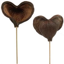 Artikel Badam på pinne naturell 6cm - 12cm 23 st