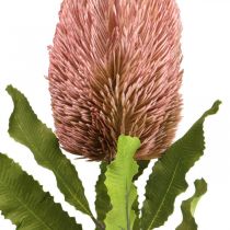 Artikel Konstgjord blomma Banksia rosa höstdekoration jubileumsblomster 64cm