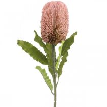 Artikel Konstgjord blomma Banksia rosa höstdekoration jubileumsblomster 64cm