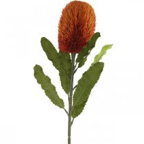 Konstgjord blomma Banksia Orange Höstdekoration Begravningsblommor 64cm