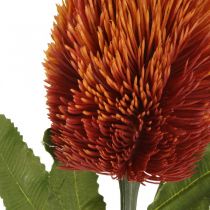 Konstgjord blomma Banksia Orange Höstdekoration Begravningsblommor 64cm