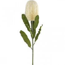 Konstgjord blomma Banksia White Cream Artificial Exotics 64cm