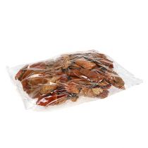 Artikel Trädsvamp orange 1 kg