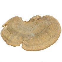 Artikel Trädsvamp naturliga dekorativa svampar torkade 6cm 1kg