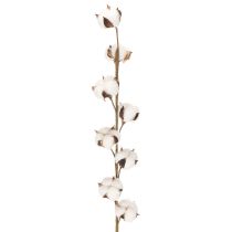 Artikel Konstgjord bomullskvist med 8 riktiga blommor, 78 cm