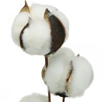 Bomullsgren deco Äkta bomullsdeco-gren 5 huvuden 50cm