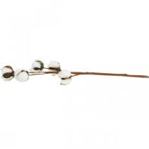 Artikel Dekoration av bomullsgren Dekorativ gren av äkta bomull 5 huvuden 50cm