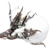 Artikel Konstgjord bomullsgren bomullsblommor med snö 79cm