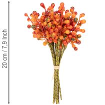 Artikel En knippe apelsinbär, 20 cm långa