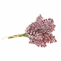 Artikel Bärplock röd, isglas 21cm 12 st