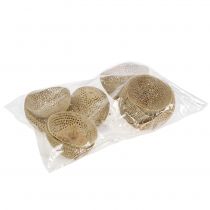 Artikel Torkad frukt Bell Cup Naturlig sorgdekoration 8,5-11cm 10 st