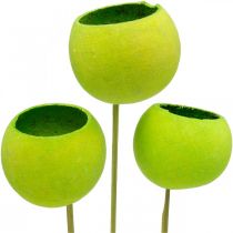 Artikel Bell Cup på pinne Green Dried Exotics 15 st
