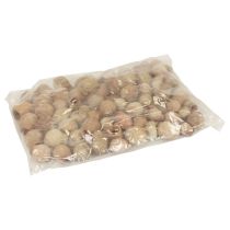 Artikel Bellgum bell fruit kapsel frukt naturlig dekoration brun 500g