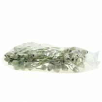 Artikel Bellgum gren 5cm - 7cm grön frostad 20 st