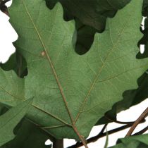 Artikel Sycamore grenar blad dekorativa lönnlöv gröna 50-60cm 100g