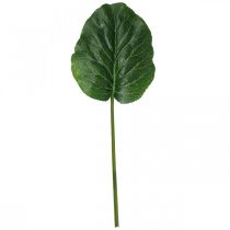 Artikel Konstgjord grön växt Bergenia Grön Konstgjord växt 53cm