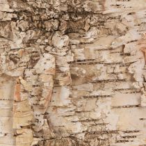 Artikel Björkbark dekorativa barklister naturvit 48×15cm 6 st