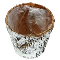 Artikel Björkkruka liten kruka björk vit Ø10cm H8,5cm 6 st
