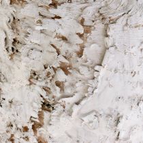 Artikel Dekorativ kruka vitnad björkkruka Ø18cm H15cm 2st