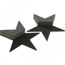 Artikel OASIS® Black Bioline® Floral Foam Star Svart H30cm 2 st