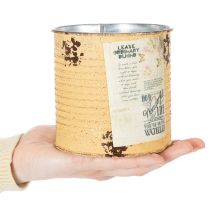Artikel Dekorativ plåtburk i aprikosfärgad metallkruka Ø11cm H10,5cm