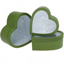 Blommapresentförpackning Hjärta Blomlåda Grön 24/21,5/19 cm Set om 3