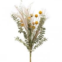 Konstgjorda blommor Craspedia fjäder gräs eukalyptus 55cm knippe