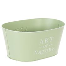 Artikel Blomskål oval zink mintgrön 27×18cm H12,5cm