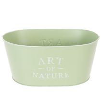 Artikel Blomskål oval zink mintgrön 27×18cm H12,5cm