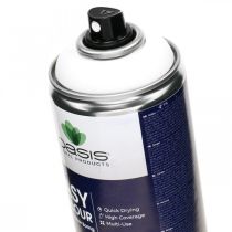 OASIS® Easy Color Spray, färgspray vit, vinterdekoration 400ml