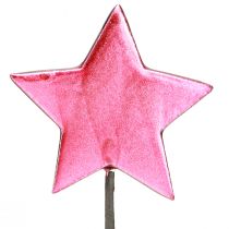 Artikel Blomstavar Stjärnor Dekoration Bär Ø7cm – 2:a val – 24 st