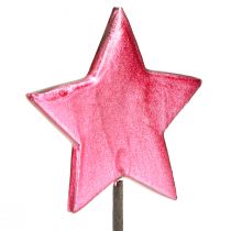 Artikel Blomstavar Stjärnor Dekoration Bär Ø7cm – 2:a val – 24 st