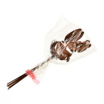 Artikel Blomplugg rost kanin dekoration 7,5cm×11,5cm 6 st