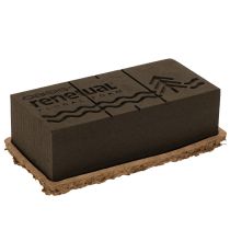 Artikel Blomskum 1/1 tegelsten OASIS® Renewal® Blomskum Biolit® 24cm 2st