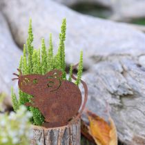 Artikel Blomkruka i trä, bark och musrost, H24cm